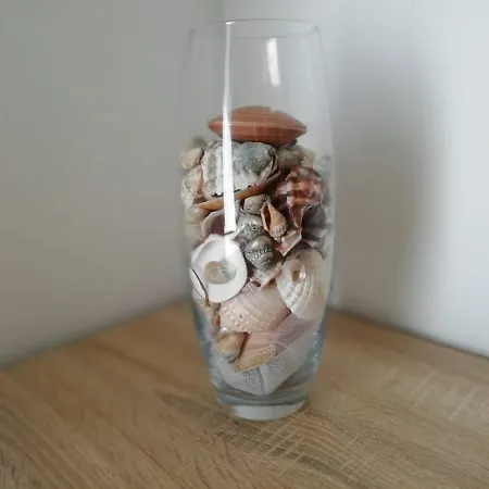 Apartment Rotim, Mljet, Sutmiholjska Babino Polje