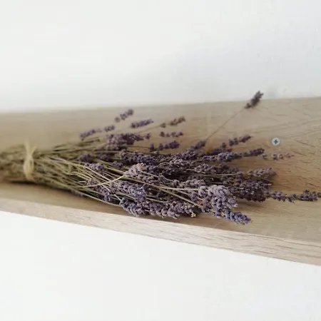 Apartment Rotim, Mljet, Sutmiholjska Babino Polje