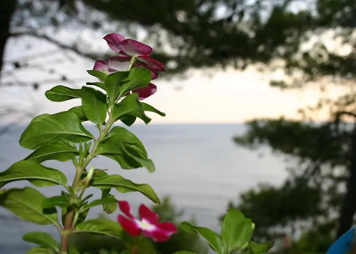 Rotim, Mljet, Sutmiholjska Babino Polje
